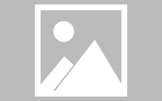 沧县濮阳社交网站制作公司（濮阳社交网站制作公司电话）